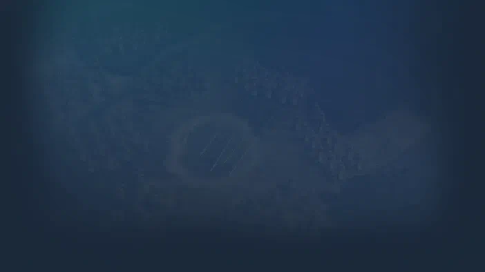 Fond d'écran du jeu vidéo Sid Meier's Civilization V affichant une carte stratégique stylisée vue de haut avec des zones terrestres et aquatiques.