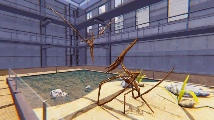 Deux squelettes de dinosaures volants exposés au bord d'une piscine dans un musée moderne du jeu vidéo Dinosaur Fossil Hunter sur Steam.