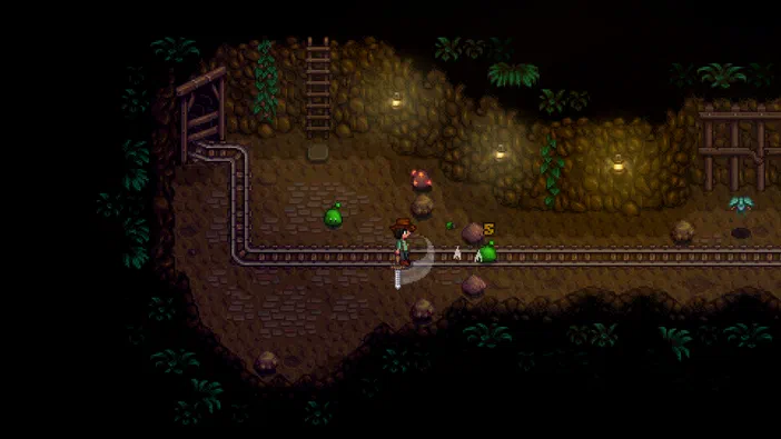 Capture d'écran de Stardew Valley montrant un personnage dans une grotte avec des rails de train, des plantes vertes et divers objets comme des rochers.