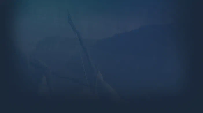 Un personnage tenant des bâtons se tient dans un environnement sombre et brumeux, image de fond pour le jeu vidéo The Forest sur Steam.