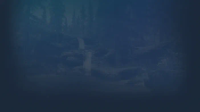 Paysage montagneux enneigé avec des arbres conifères, représentant le décor du jeu vidéo The Elder Scrolls V: Skyrim sur Steam.