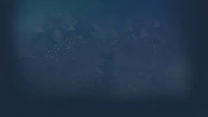 Image de fond montrant des créatures extraterrestres flottantes sur un fond sombre, issue du jeu vidéo Spore disponible sur Steam.