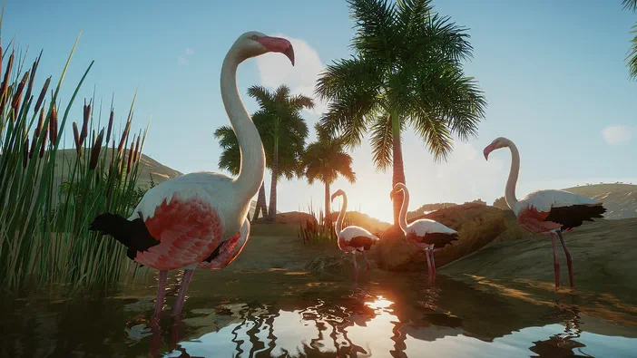 Capture d'écran montrant quatre flamants roses dans une eau calme au bord d'un parc numérique avec des palmiers et un coucher de soleil en arrière-plan.