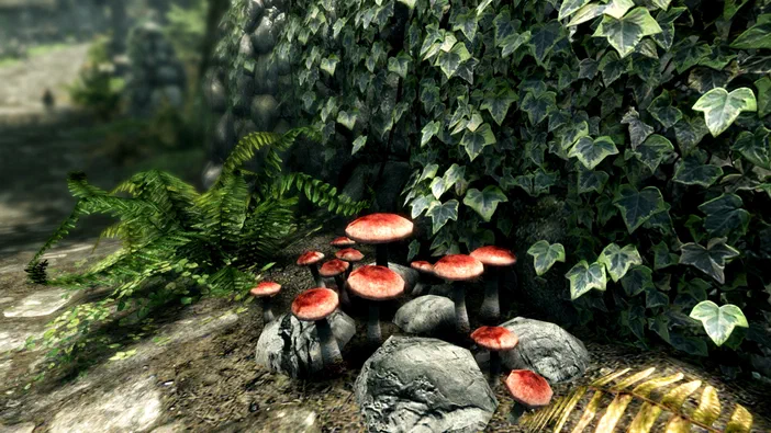 Vue de la Special Edition du jeu vidéo The Elder Scrolls V: Skyrim montrant des champignons rouges sur un mur recouvert d'ivy dans une forêt.