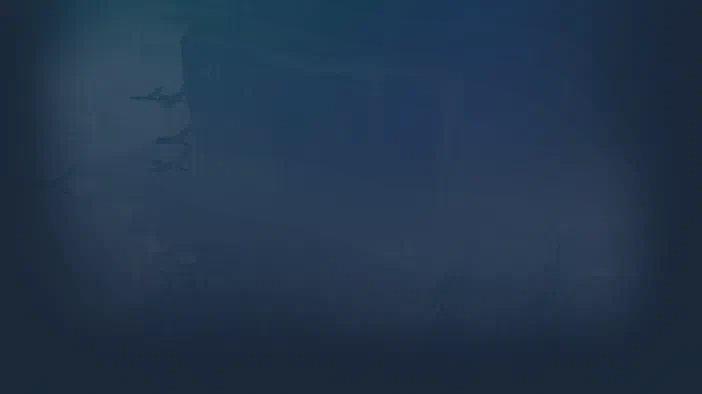 Fond d'écran du jeu vidéo Age of Empires III montrant une scène brumeuse avec des silhouettes de bâtiments et d'oiseaux en vol.
