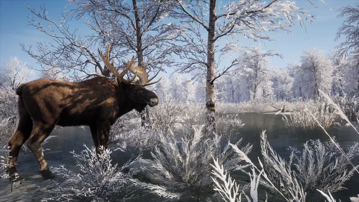 Dans le jeu vidéo Medieval Dynasty, un grand élan à bois se tient dans une eau glacée au milieu d'une forêt enneigée sous un ciel bleu.