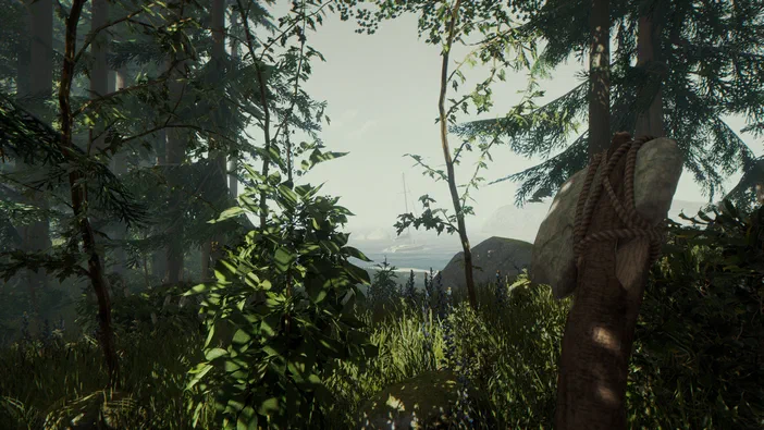 Capture d'écran du jeu vidéo The Forest montrant une forêt dense avec des arbres et de la végétation au premier plan.