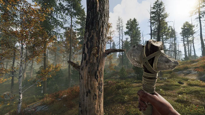 Dans le jeu Rust, une main tient un outil rudimentaire devant des arbres dans une forêt ensoleillée.