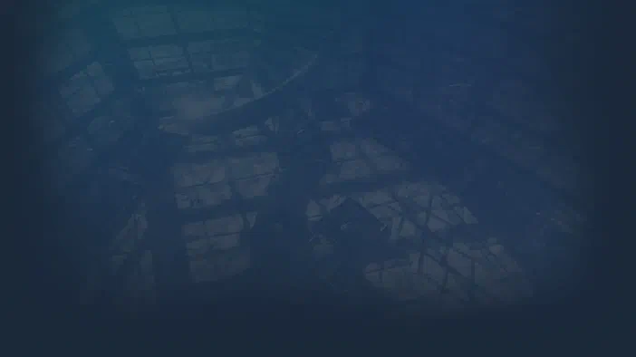 Image de fond sombre et bleutée du jeu vidéo ARK: Survival Evolved.