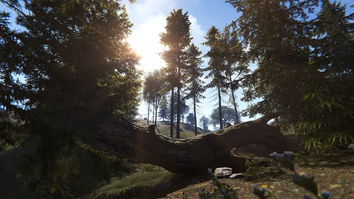 Capture d'écran du jeu Rust montrant une forêt avec des arbres et un tronc couché sous le soleil.