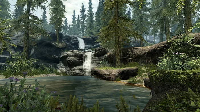 Capture d'écran de The Elder Scrolls V: Skyrim montrant une cascade dans une forêt dense avec des rochers et un plan d'eau au premier plan.