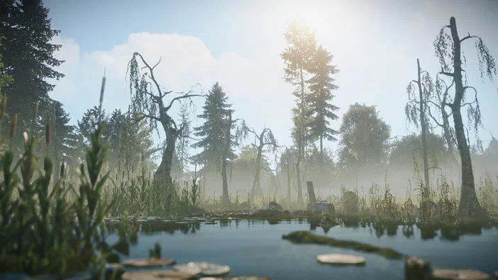 Capture d'écran du jeu Rust montrant un paysage de marais brumeux avec des arbres morts et vivants bordés par une étendue d'eau calme.