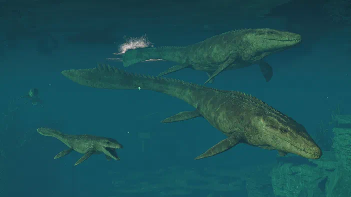 Capture d'écran de Jurassic World Evolution 3 montrant plusieurs dinosaures marins nageant dans une eau bleue.