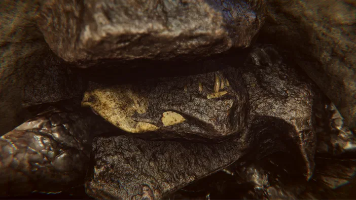 Détail d'un fossile de dinosaure partiellement recouvert par des roches dans le jeu Dinosaur Fossil Hunter.