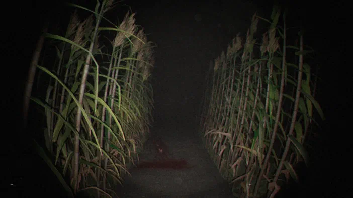 Capture d'écran du jeu vidéo Unknown Tapes montrant un chemin sombre bordé de hautes herbes avec une tache rouge au sol.