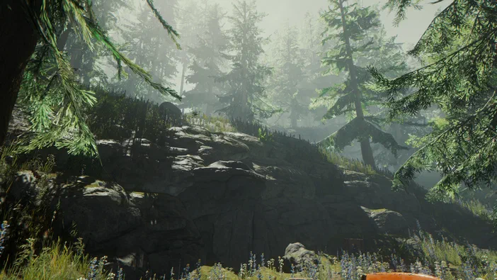 Capture d'écran du jeu vidéo The Forest montrant une forêt dense brumeuse avec des arbres conifères et un terrain rocheux.