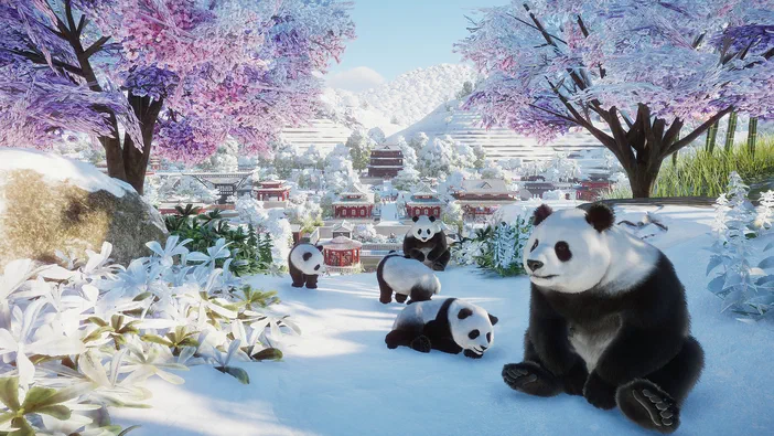 Capture d'écran du jeu Planet Zoo montrant plusieurs pandas dans un environnement enneigé avec des arbres aux fleurs violettes.