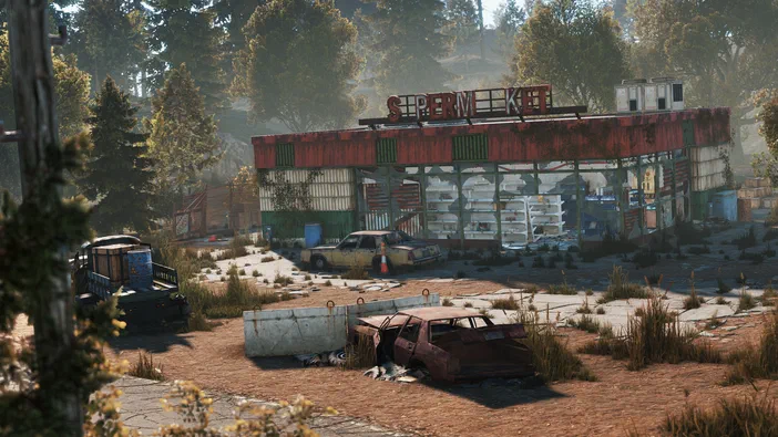 Capture d'écran du jeu Rust montrant une épicerie abandonnée en ruine avec des véhicules et de la végétation envahissante.