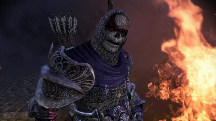 Sous-titre d'un jeu vidéo : Dragon Age: Origins - Awakening